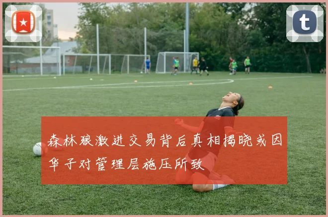 森林狼激进交易背后真相揭晓或因华子对管理层施压所致